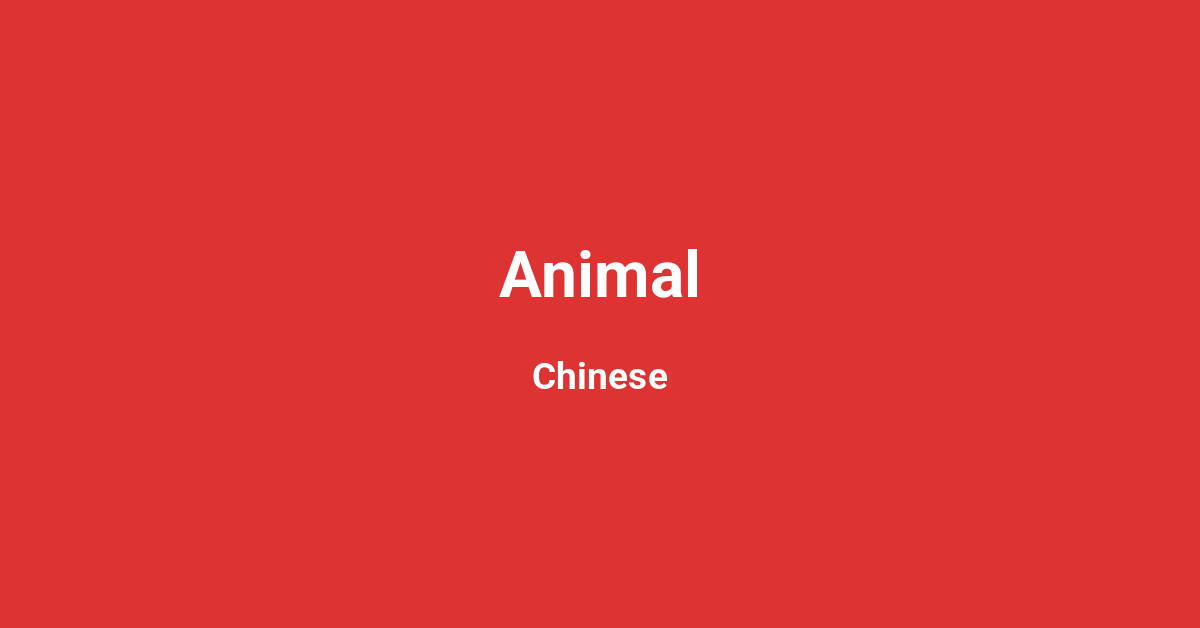 Animal