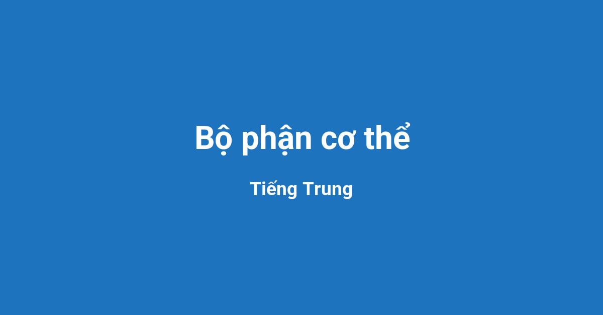 Bộ phận cơ thể