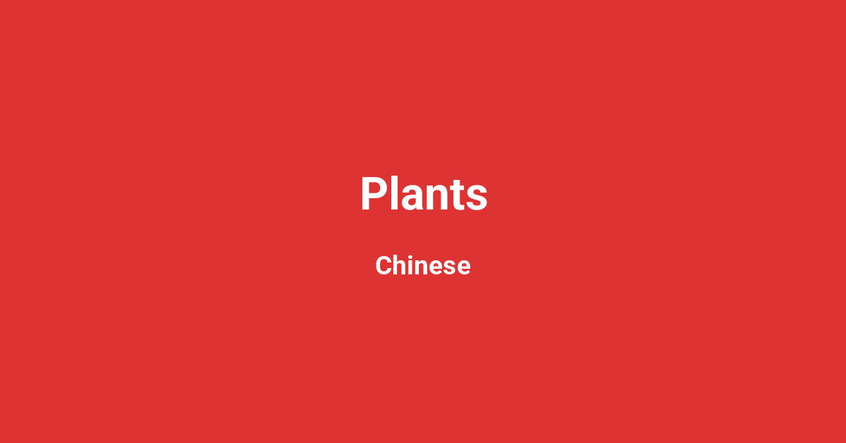 Plants